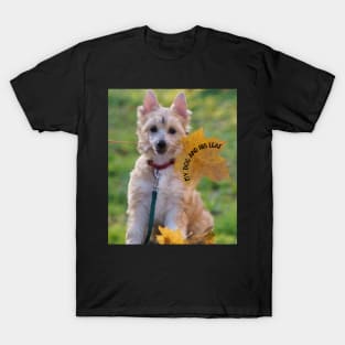 My Dog And His Leaf T-Shirt